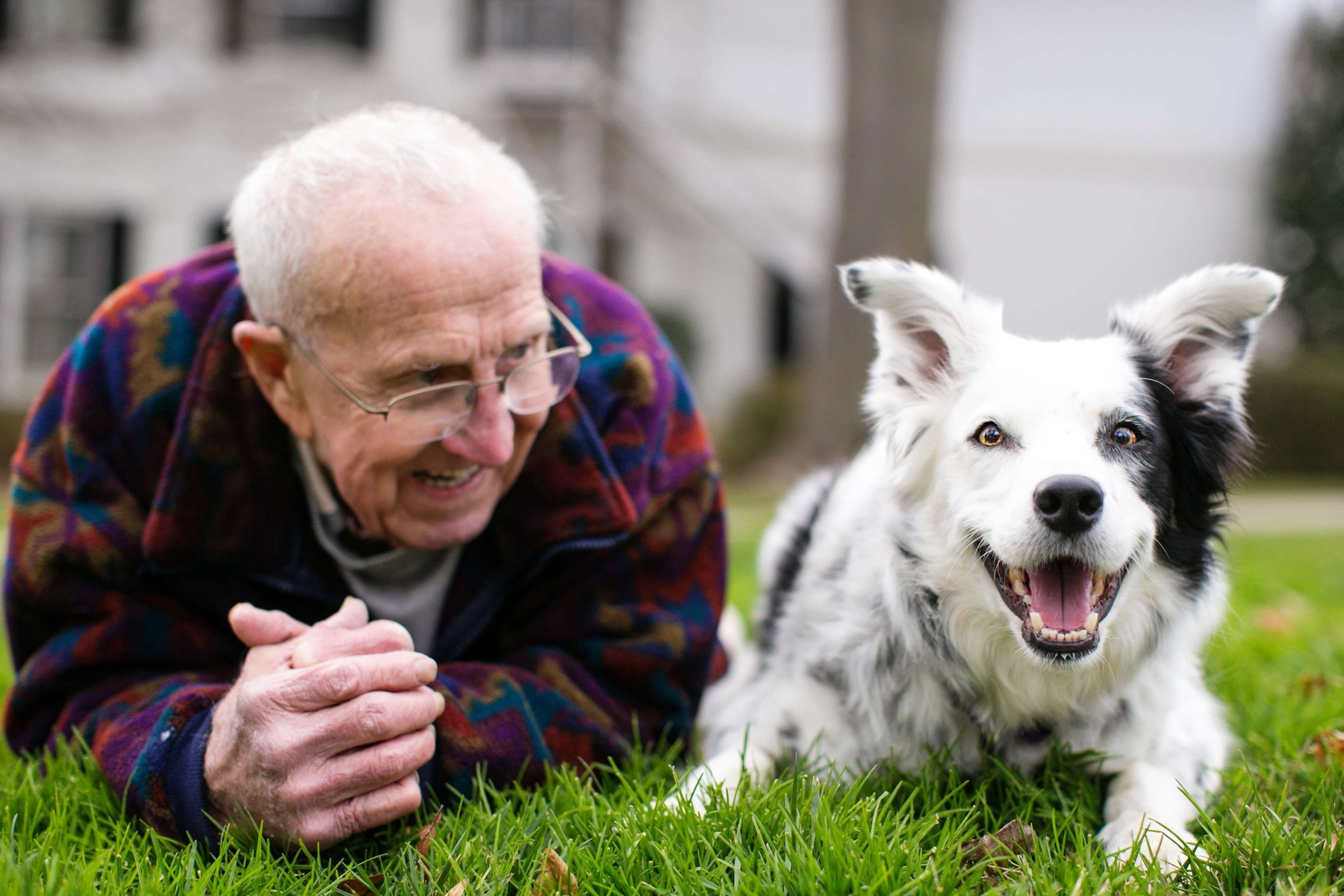 Chaser The Dog and her owner Dr. John Pilley photographed in the front lawn of their home.