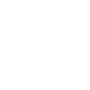 Hub City Animal Project Cats Icon