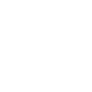 Hub City Animal Project Dogs Icon